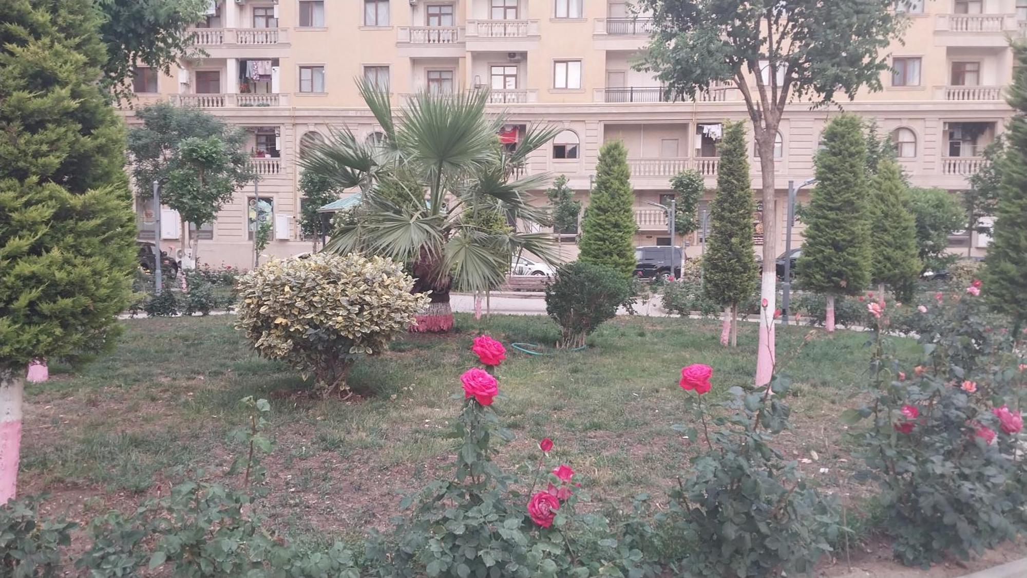 Banu House Apartment Sumqayyt Exterior photo